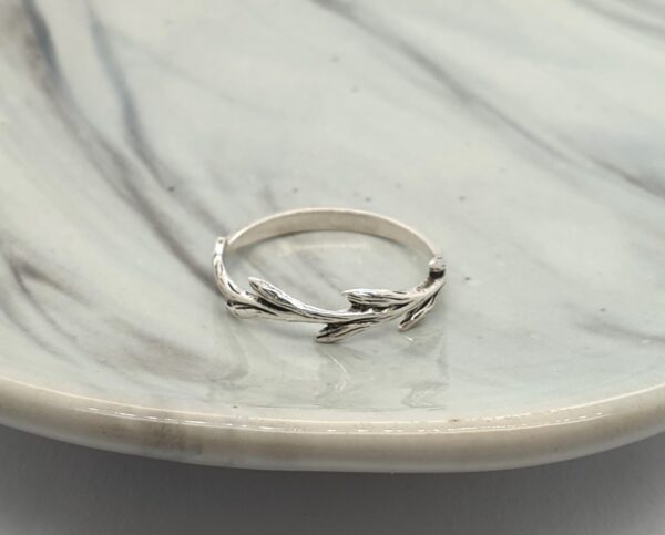 The Nature Ring