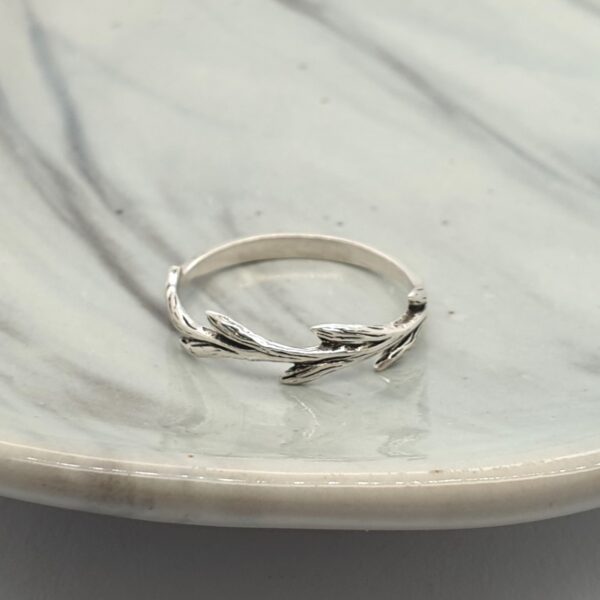 The Nature Ring