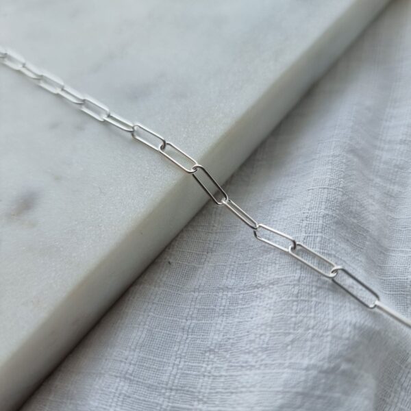 Paperclip Silver Charm Carrier