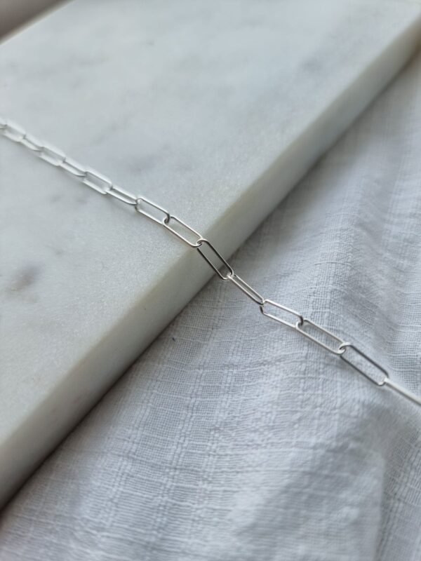 Paperclip Silver Charm Carrier