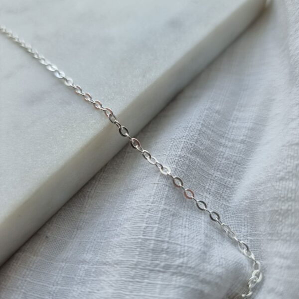 Anchor Silver Charm Carrier