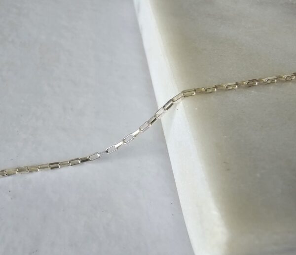 Small Paperclip Charm Carrier