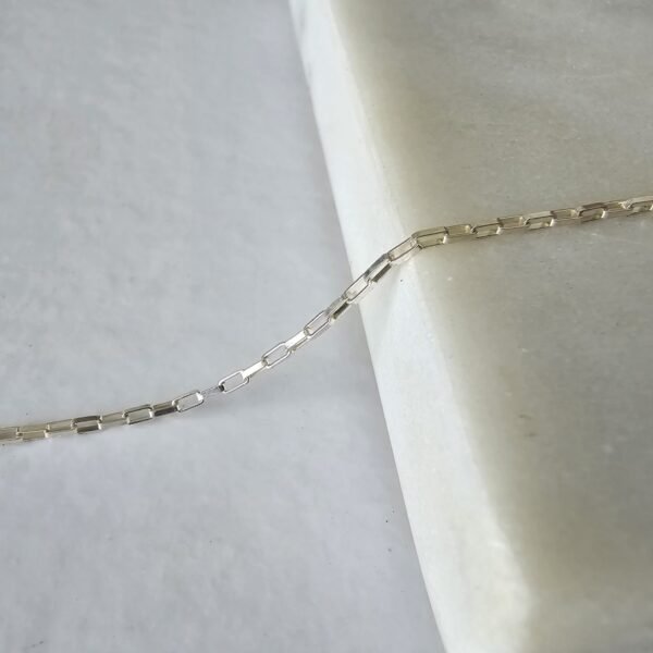 Small Paperclip Charm Carrier