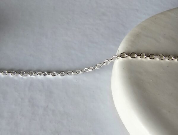 Arabella Silver Charm Carrier