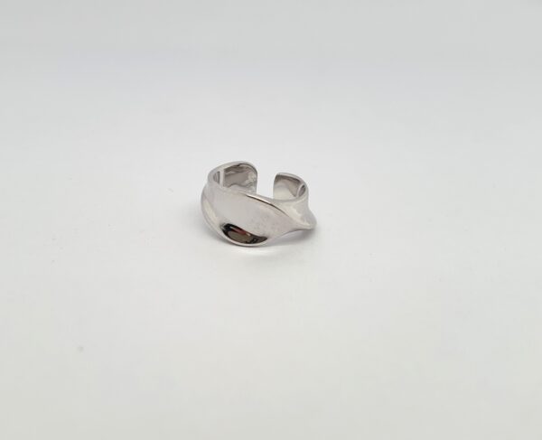 Bold Earring Cuffs