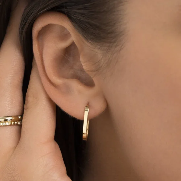 The True hoop Gold Earrings 1