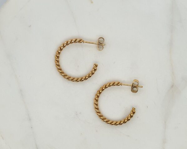 Twisted Stainless Steel Earrings