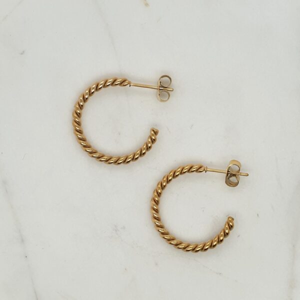Twisted Stainless Steel Earrings