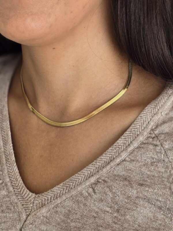 Stainless Steel Herringbone Chain