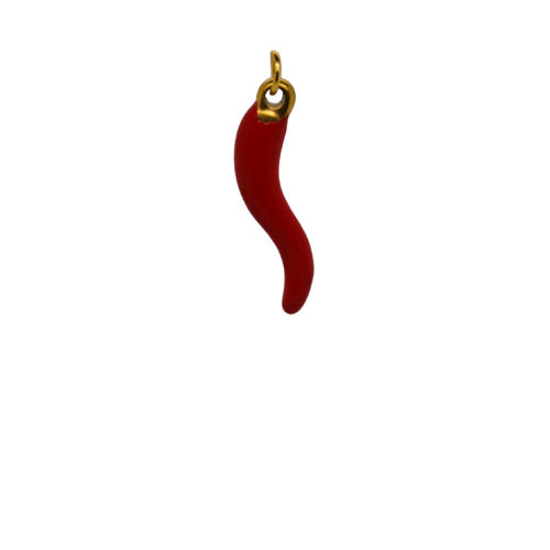 Gold Red Chille Charm