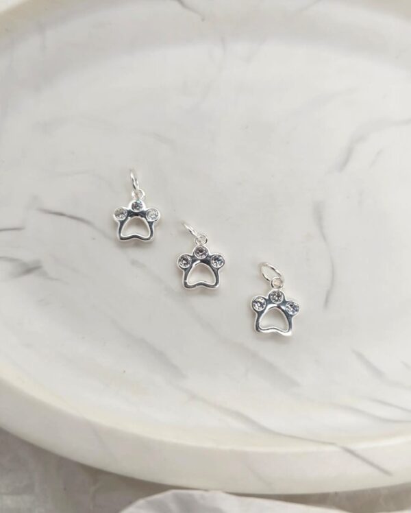 Sterling Silver Animal Paw