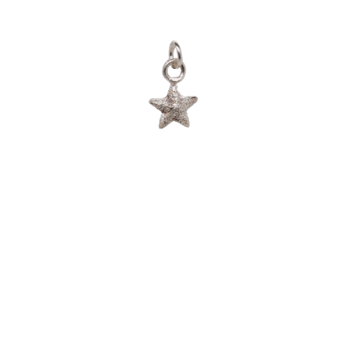 Sparkly Silver Star Charm