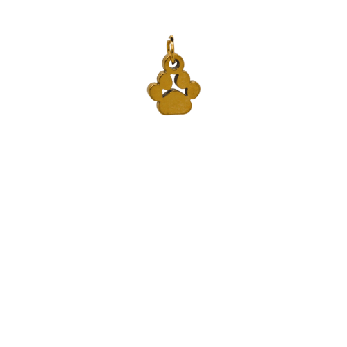 Dog Paw Charm