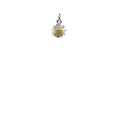Silver Daisy Charm
