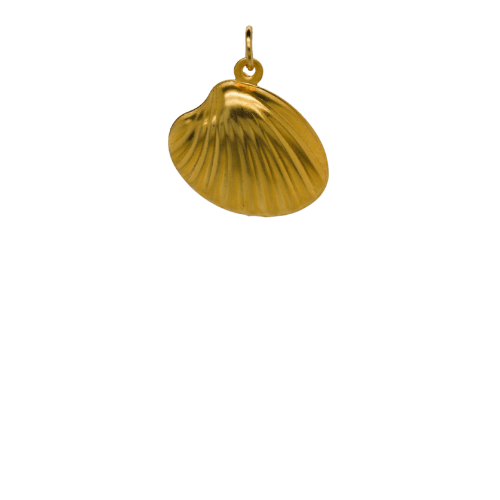 Stainless Steel Shell