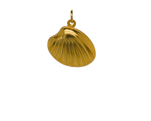 Stainless Steel Shell