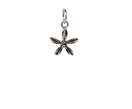 Small Silver Flower