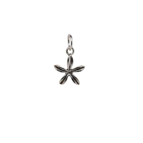 Small Silver Flower