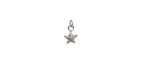 Silver Star Charm