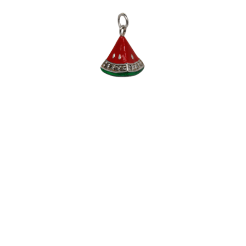 3D Watermelon Silver Charm