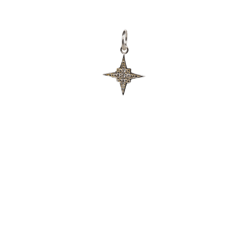 Lucky Star Charm
