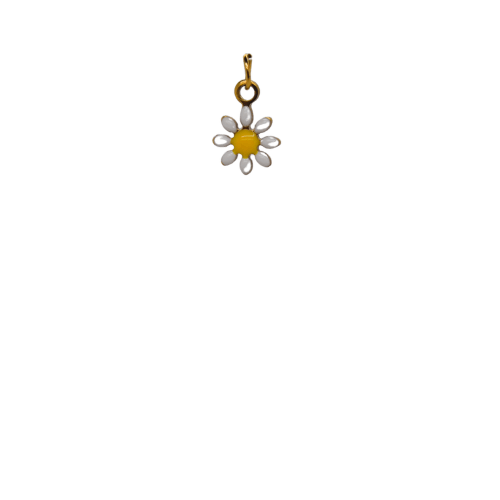 White Small Daisy