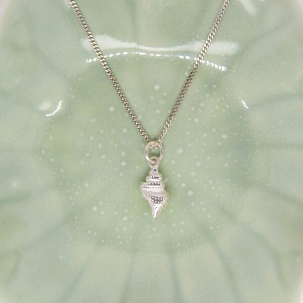 Silver Textured Shell Necklace